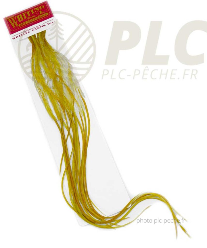 Plumes WHITING FARMS 100'S pour hameçons de 18 | PLC-PECHE.FR