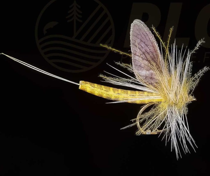 Mouche Sèche JMC Mai 107 H12 | PLC-PECHE.FR