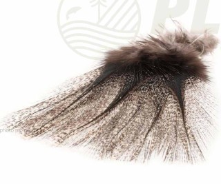 Plumes Pardo PETITJEAN x12 | PLC-PECHE.FR