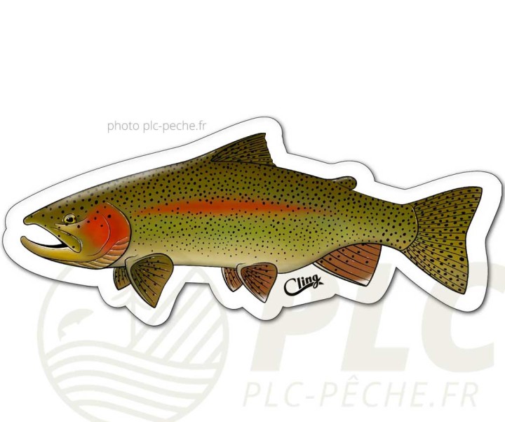 Sticker CLING Trout | PLC-PECHE.FR