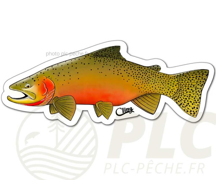 Sticker CLING Trout | PLC-PECHE.FR
