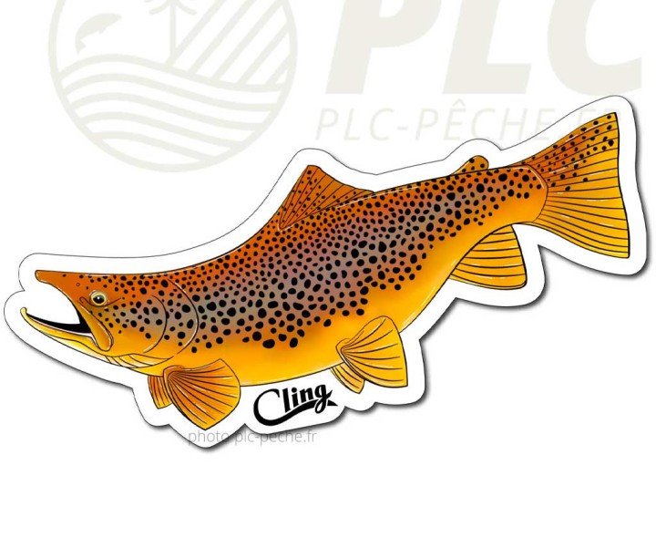 Sticker CLING Trout | PLC-PECHE.FR