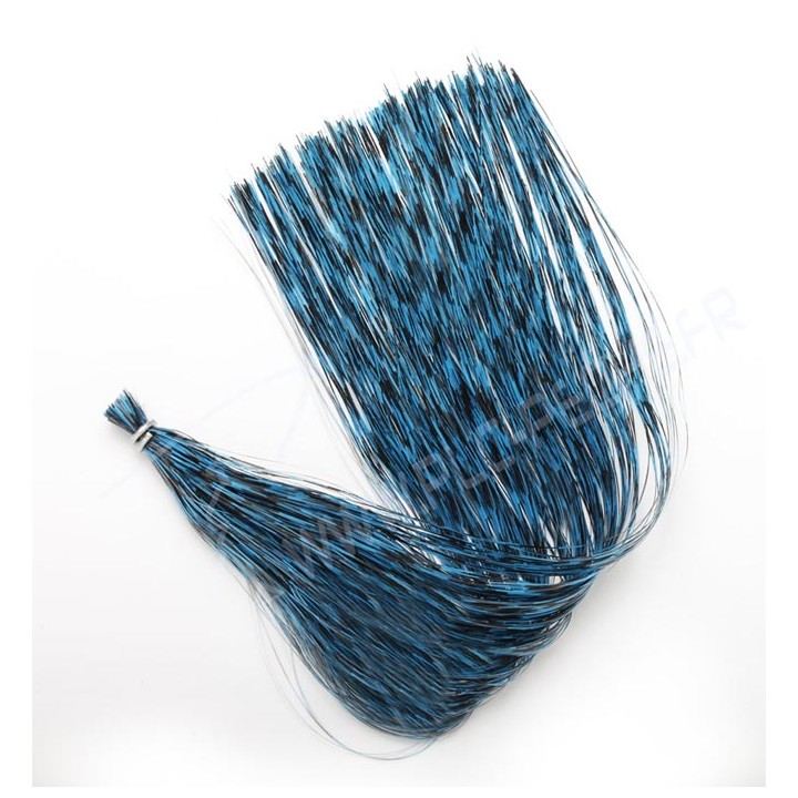 Fluo Bleu / Black
