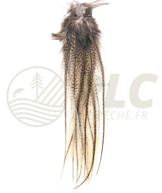 Lancette Pardo Claire DEVAUX | PLC-PECHE.FR