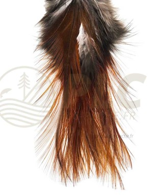 Pelle de Pardo Indio DEVAUX | PLC-PECHE.FR
