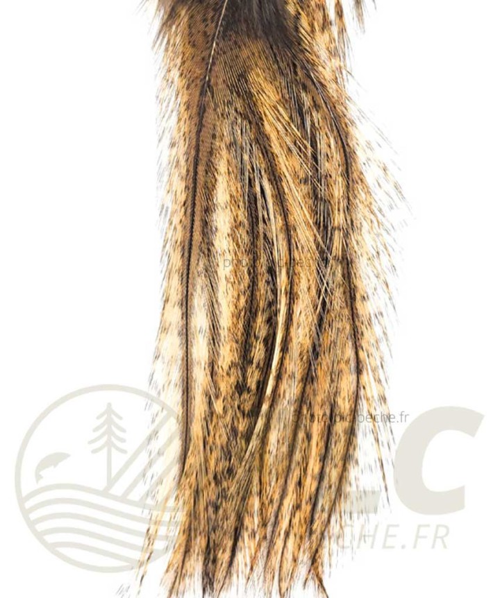 Pelle Pardo Badger DEVAUX | PLC-PECHE.FR