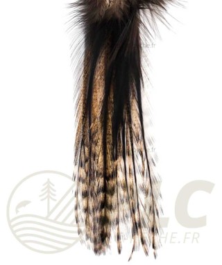 Lancette Pardo Grizzly DEVAUX