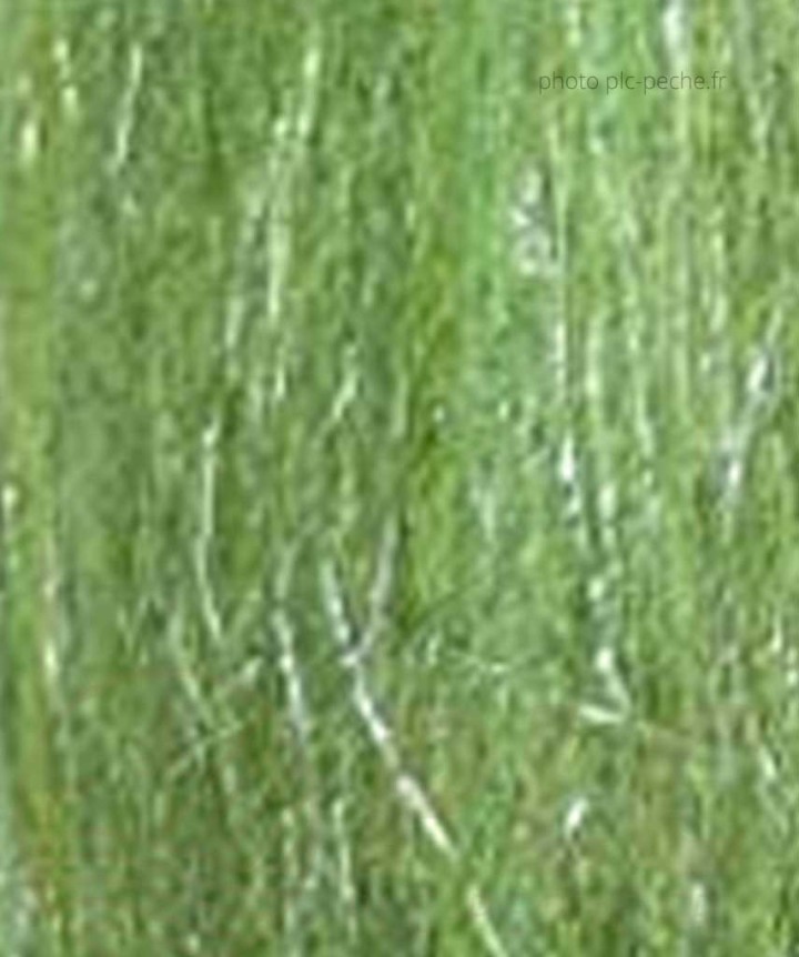 Creaflash DEVAUX olive