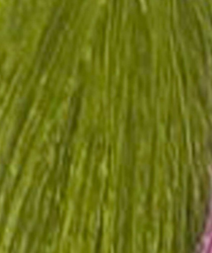 Pro-Bucktail Synthetic DEVAUX olive