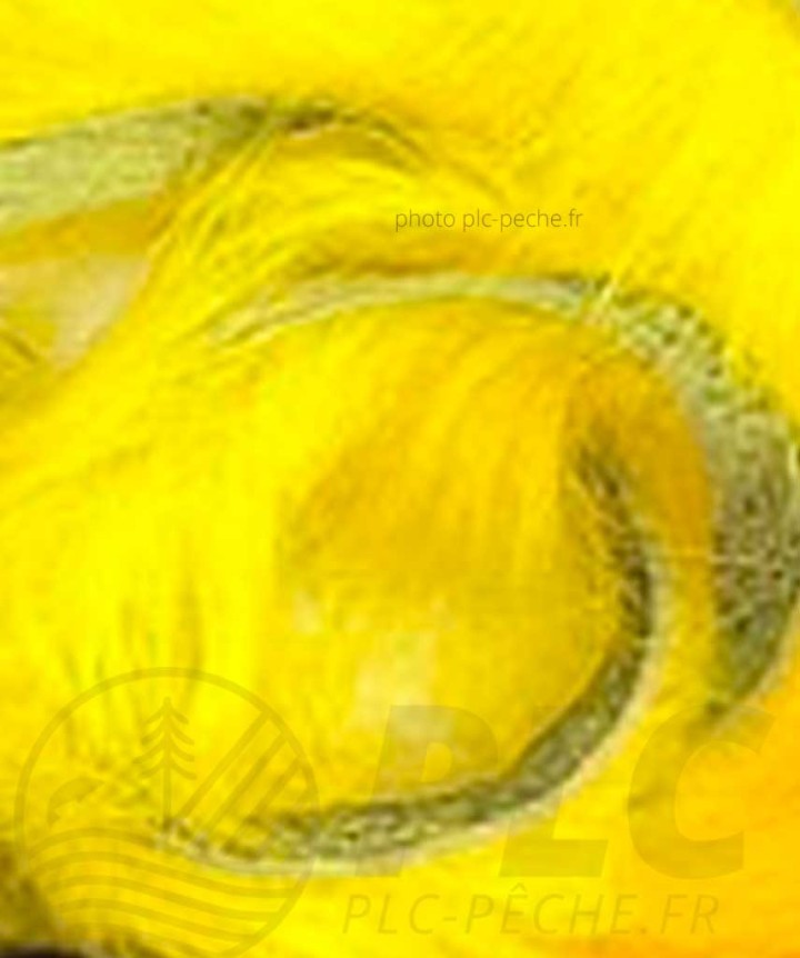 Zonker DEVAUX jaune