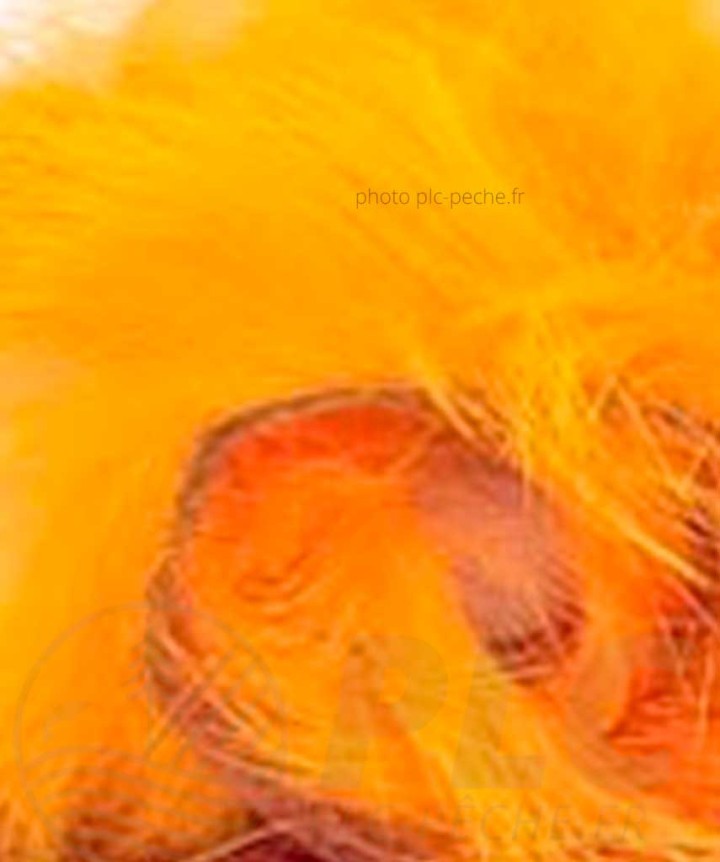Zonker DEVAUX orange fluo