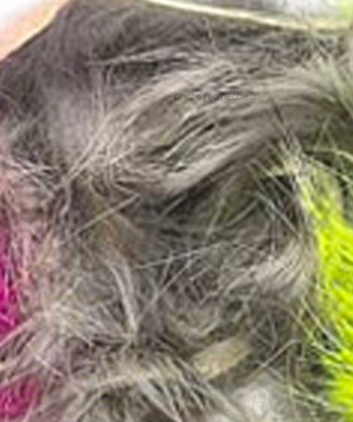 Zonker DEVAUX chinchilla