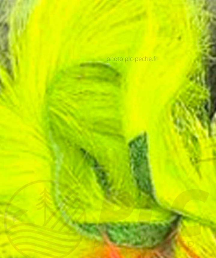 Zonker DEVAUX chartreuse fluo