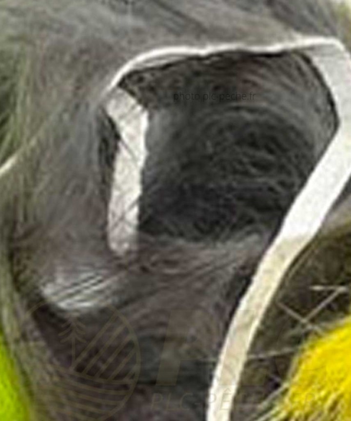Zonker DEVAUX gris