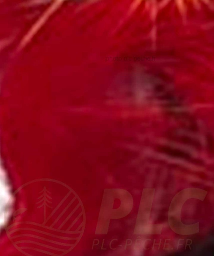 Zonker DEVAUX rouge