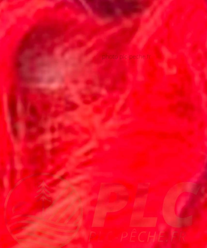 Zonker DEVAUX rouge fluo