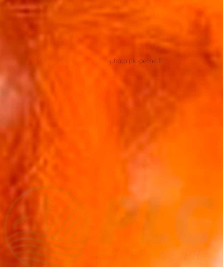 Zonker DEVAUX mandarine