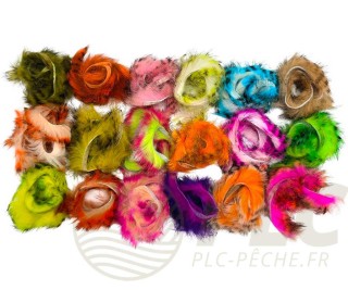 Zonker Zébré DEVAUX | PLC-PECHE.FR