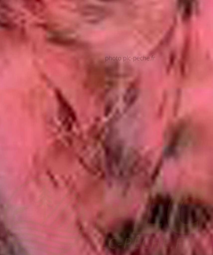 Zonker Zébré DEVAUX rose pale