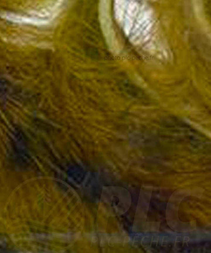 Zonker Zébré DEVAUX olive noir