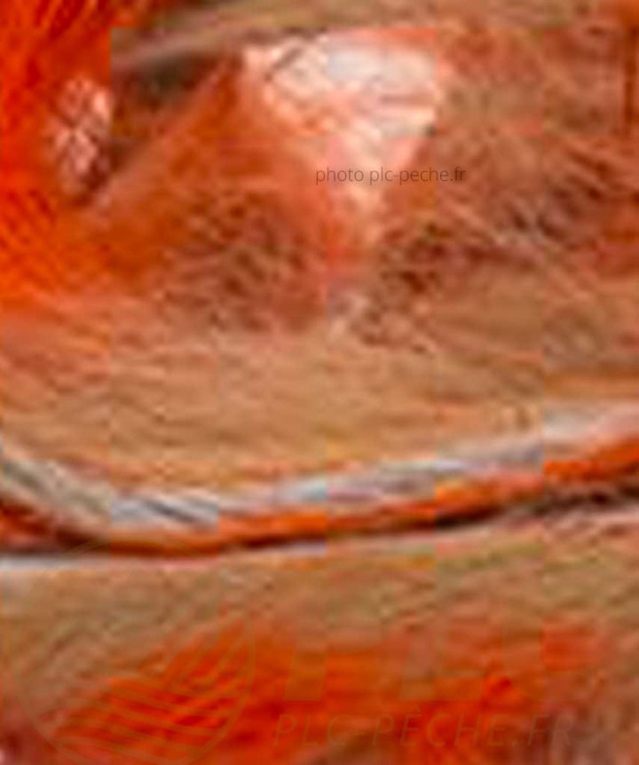 Zonker Zébré DEVAUX orange beige