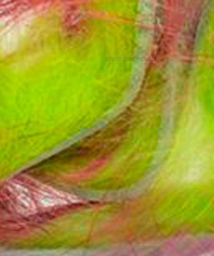Zonker Zébré DEVAUX chartreuse rose
