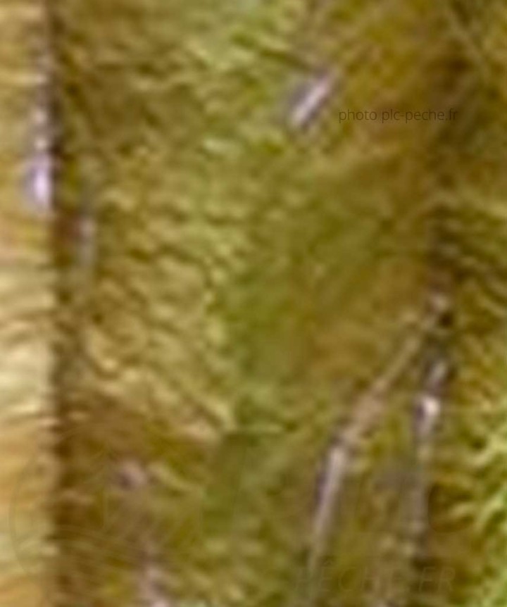 Stream Brush Bicolor DEVAUX olive marron