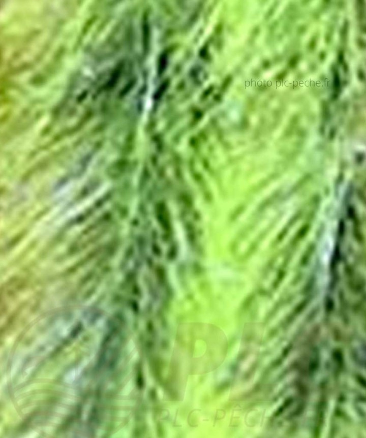 Stream Brush Bicolor DEVAUX chartreuse noir