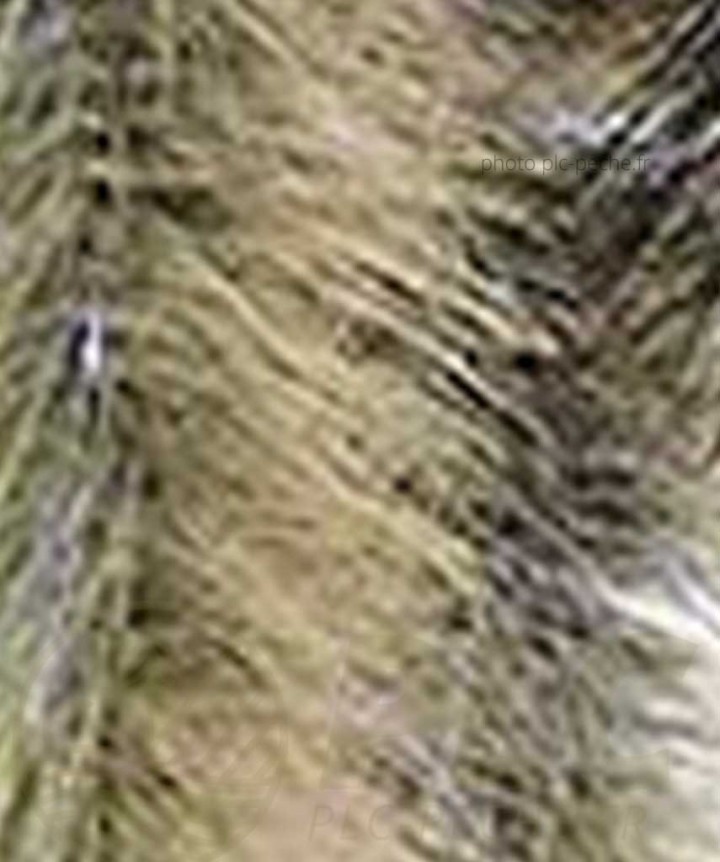 Stream Brush Bicolor DEVAUX beige noir
