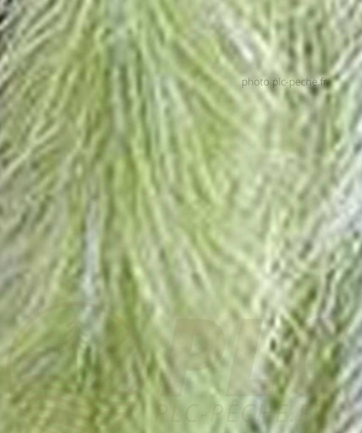 Stream Brush Bicolor DEVAUX crème olive