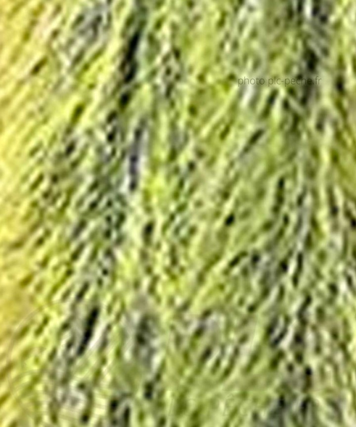 Stream Brush Bicolor DEVAUX jaune noir