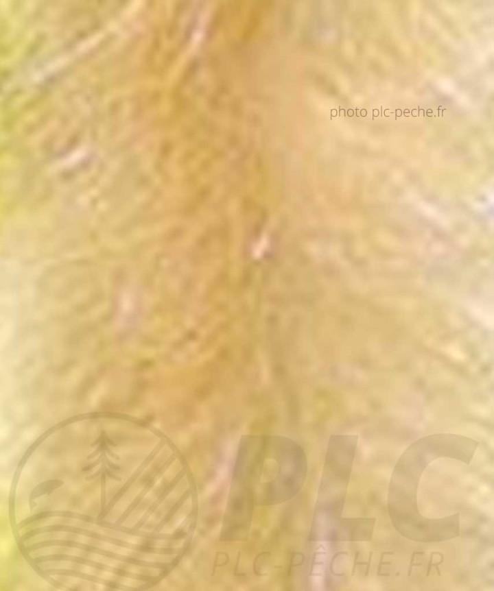 Stream Brush Bicolor DEVAUX beige crevette