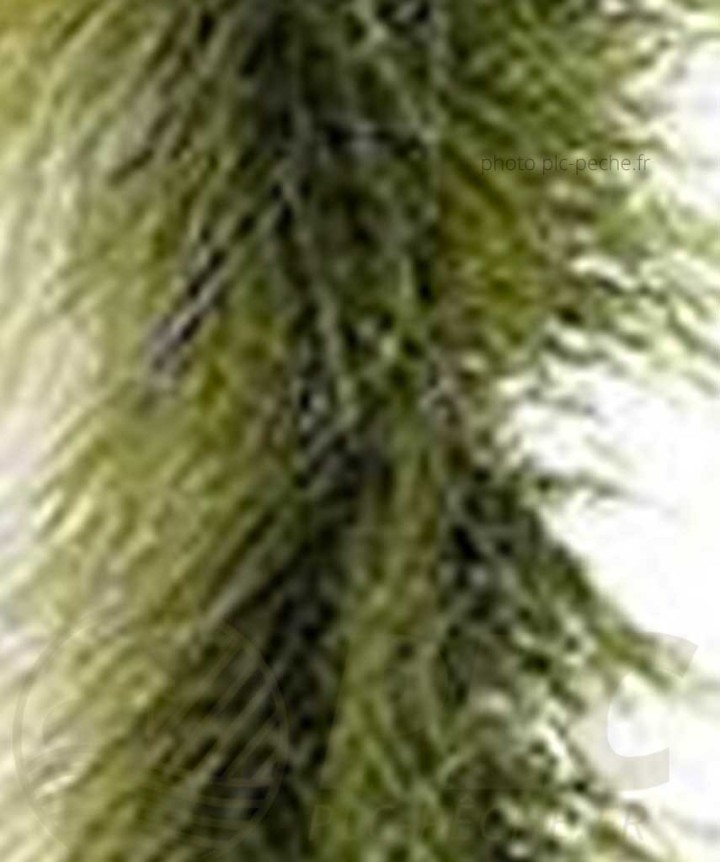 Stream Brush Bicolor DEVAUX olive noir