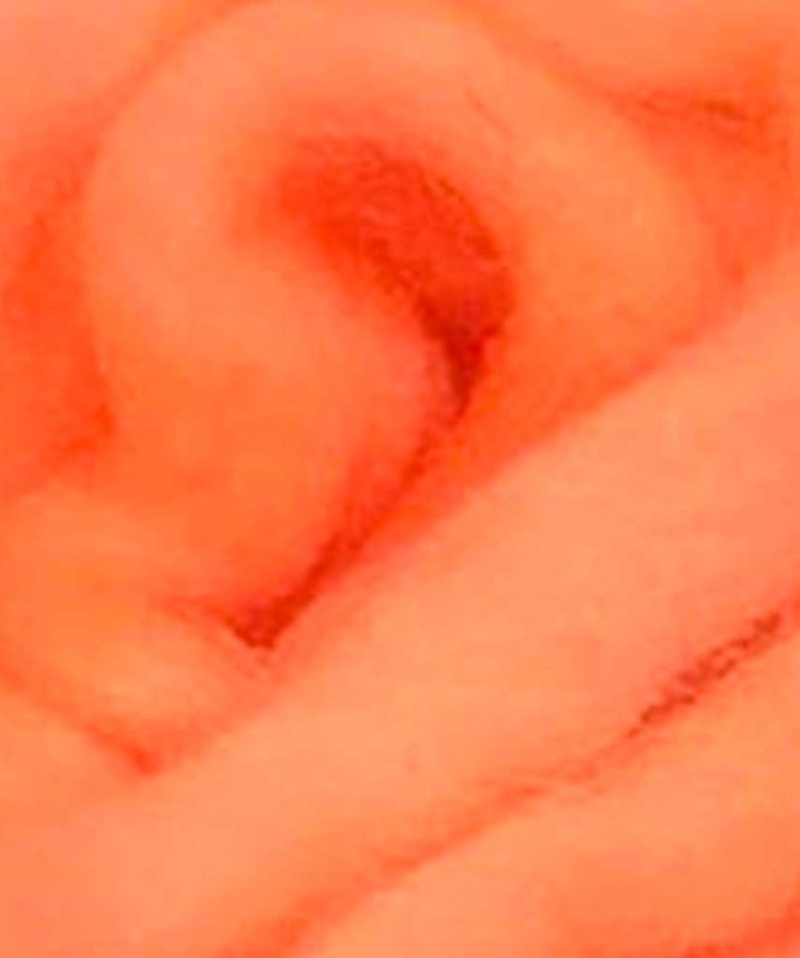Mèches de Fibres Egg Yarn DEVAUX saumon