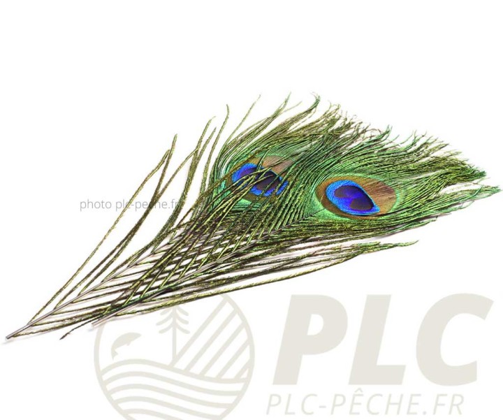 Oeil de Paon + Barbes DEVAUX
