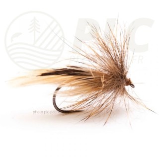 Sedge DEVAUX JBP 17 BL