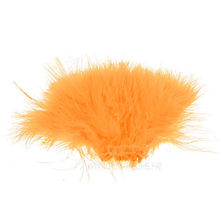 Corail