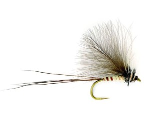 Mouche FULLING MILL Cdc Mayfly Dun B/L | PLC-PECHE.FR