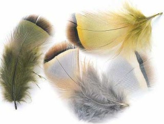 French Partridge Hackle 2gr VENIARD | PLC-PECHE.FR