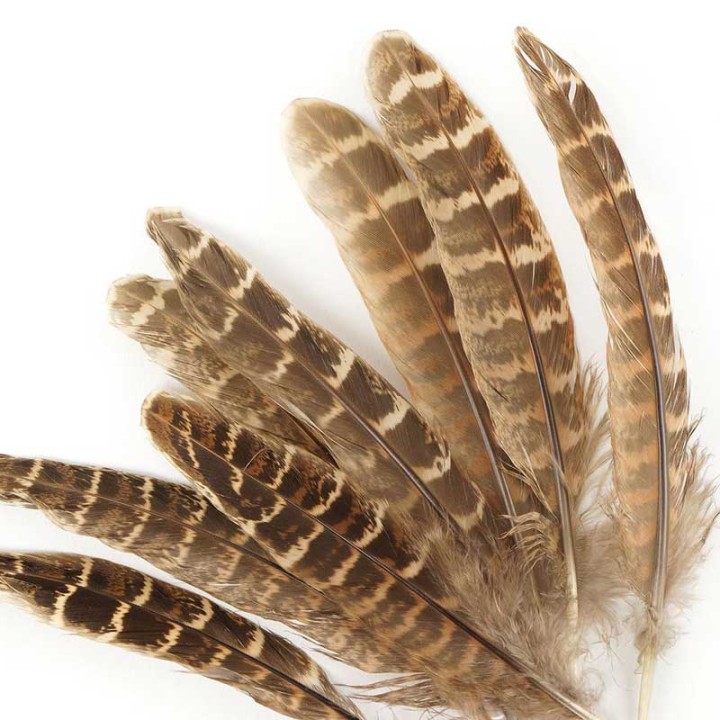 Plume d'aile de faisane VENIARD | PLC-PECHE.FR