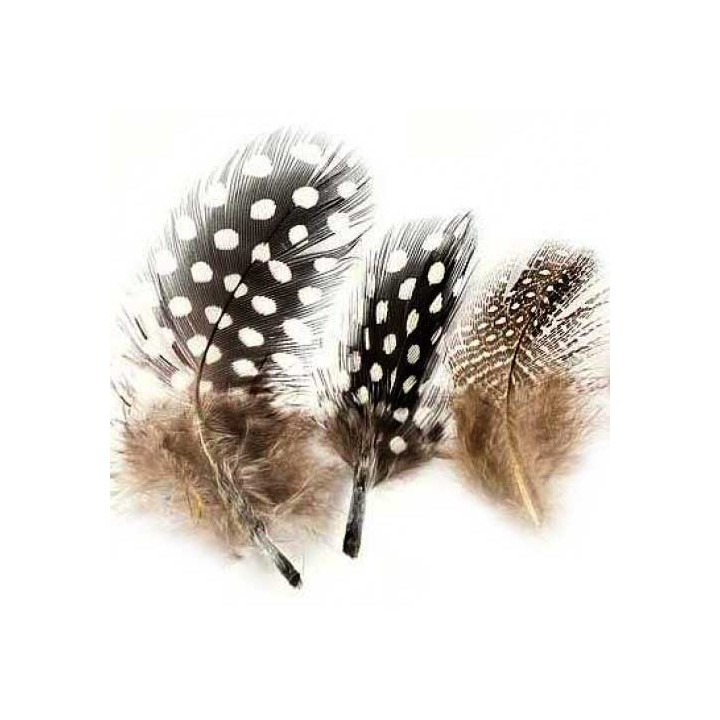 Plume de pintade Guinea Fowl VENIARD | PLC-PECHE.FR