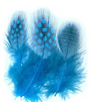 Plume de pintade Guinea Fowl VENIARD | PLC-PECHE.FR