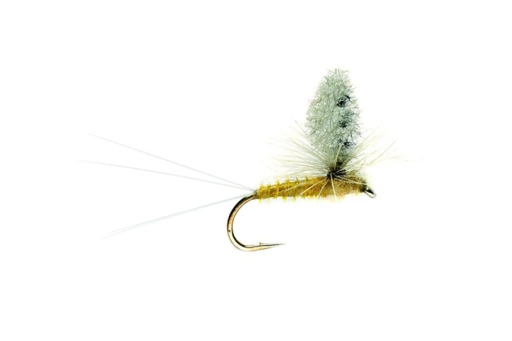 Mouche Cutwing Para pmd - PLC FLY SHOP