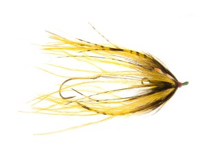 Mouche steelhead intruder Senyo's OCD yellow - PLC FLY SHOP