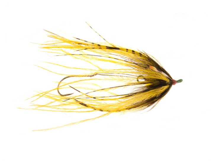 Mouche steelhead intruder Senyo's OCD yellow - PLC FLY SHOP