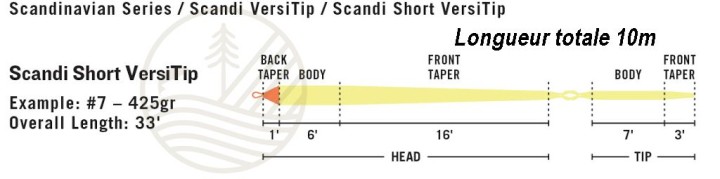 Soie Rio Scandi Short Versitip| PLC-PECHE.FR