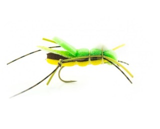 Mouche devaux sauterelle saut01
