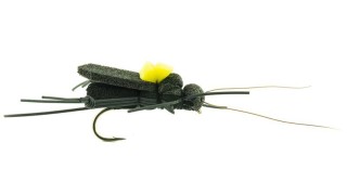 MOUCHE DEVAUX TERRESTRE CRICKET 01