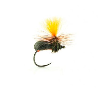 Mouche Devaux terrestre jbt05