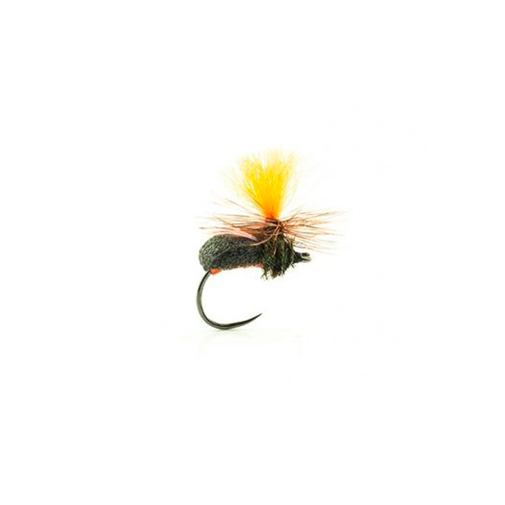 Mouche Devaux terrestre jbt05
